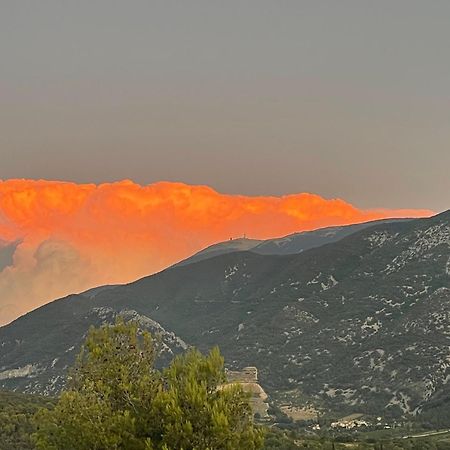 Les Terrasses Du Ventoux Apartman Mollans-sur-Ouvèze Kültér fotó